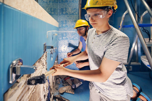 Trusted Hollywood Park, TX Mold Removal Experts