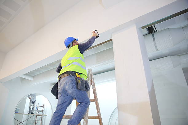  Hollywood Park, TX Mold Removal Pros